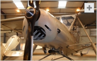 Storch front view photo