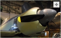 Sea Fury front view photo