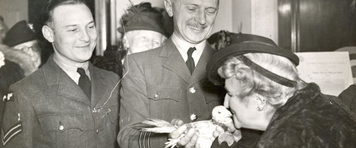 Gustav receives his Dickin Medal