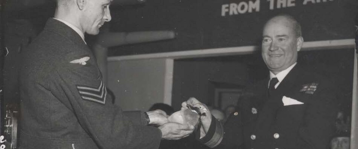 Royal Blue receiving his Dickin Medal