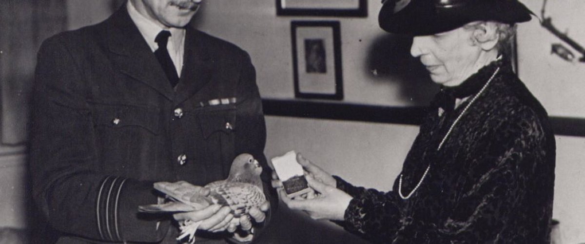 Winkie the pigeon with PDSA founder Maria Dickin