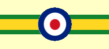 No. 613 Squadron roundel