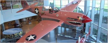 Air Zoo Founder Sue Parish and Her Pink P-40 Warhawk