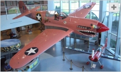 Pink P-40 Warhawk