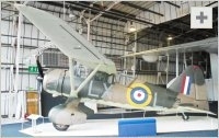Lysander side view photo